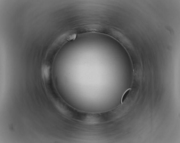 X0000114390070200910161303
