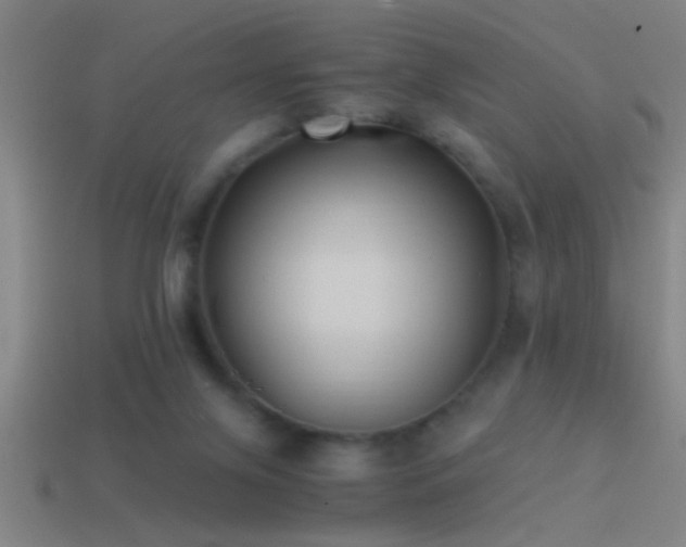 X0000114390071200910161303