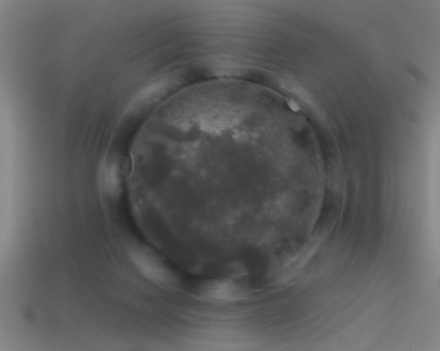X0000114390074200910161303