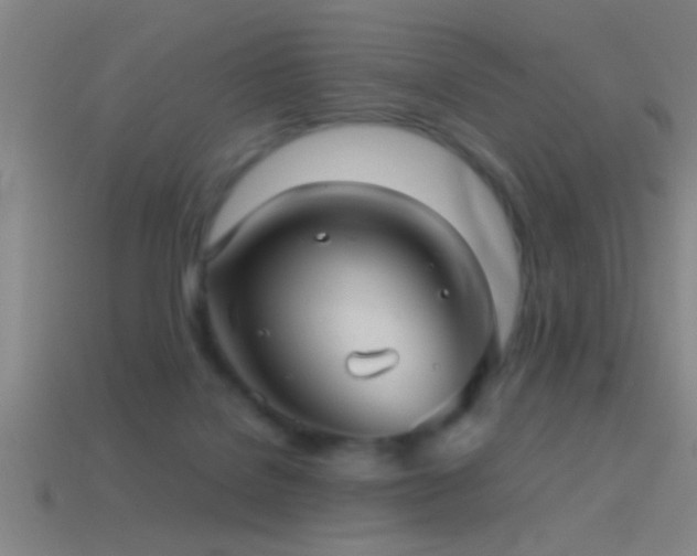 X0000114390076200910161303