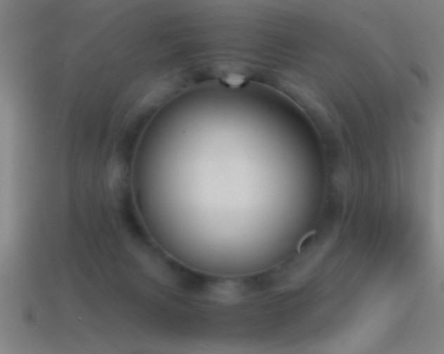 X0000114390079200910161303