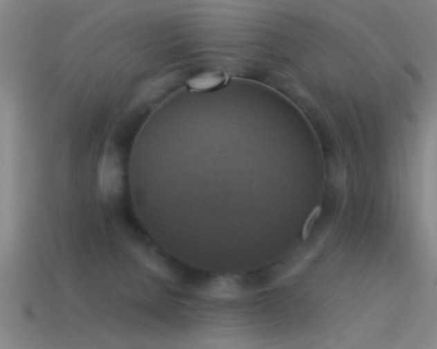 X0000114390080200910161303