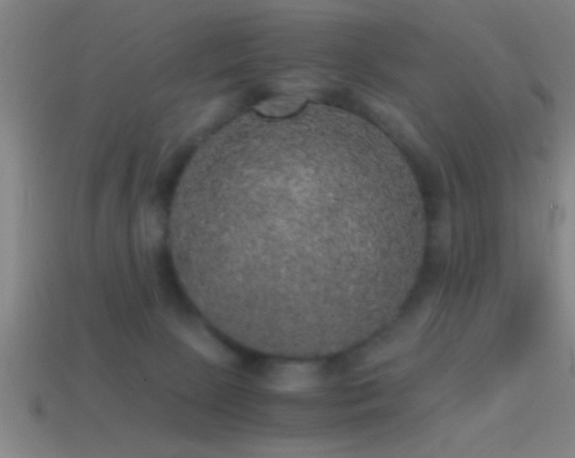 X0000114390081200910161303