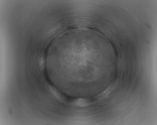 X0000114390082200910161303