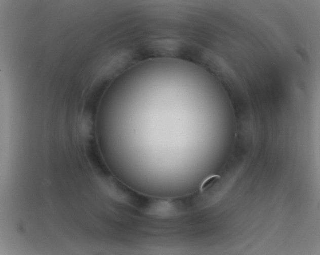 X0000114390083200910161303