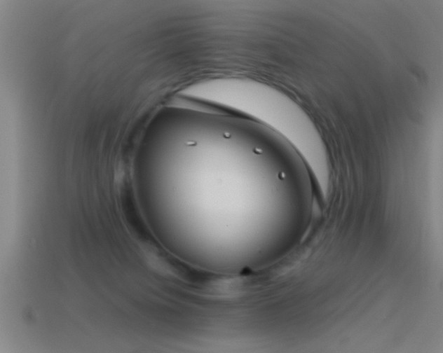 X0000114390084200910161303