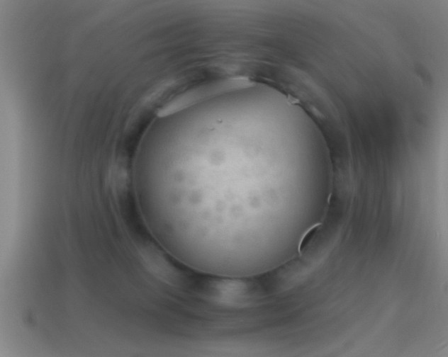 X0000114390085200910161303