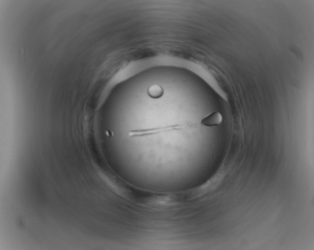X0000114390086200910161303