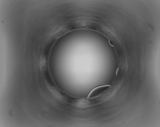 X0000114390087200910161303