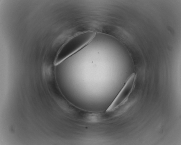 X0000114390088200910161303