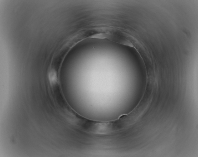 X0000114390089200910161303
