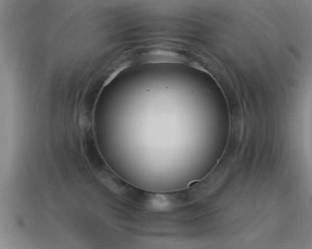 X0000114390091200910161303