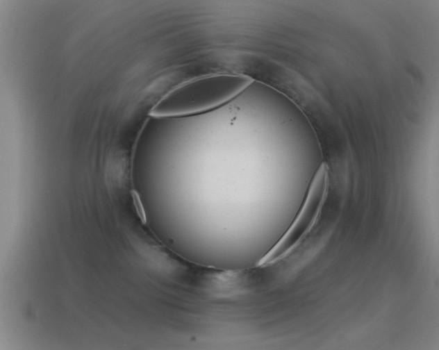 X0000114390092200910161303