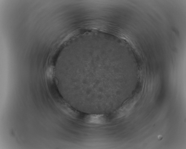 X0000114390093200910161303