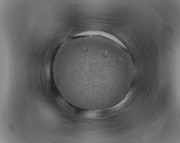 X0000114390094200910161303