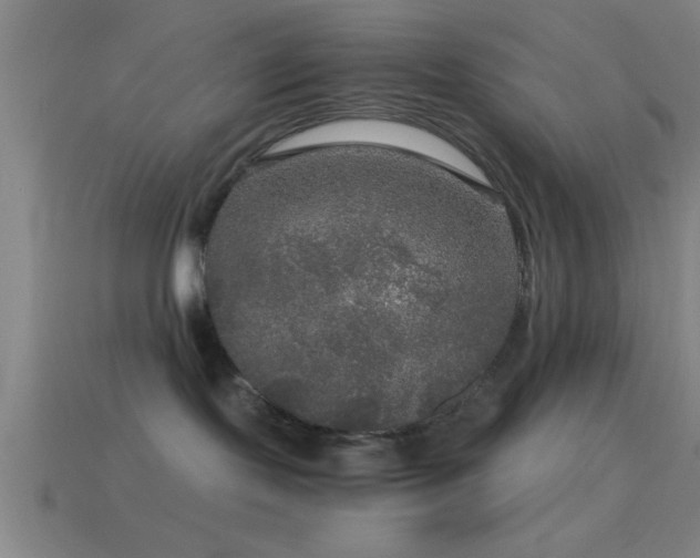 X0000114390095200910161303