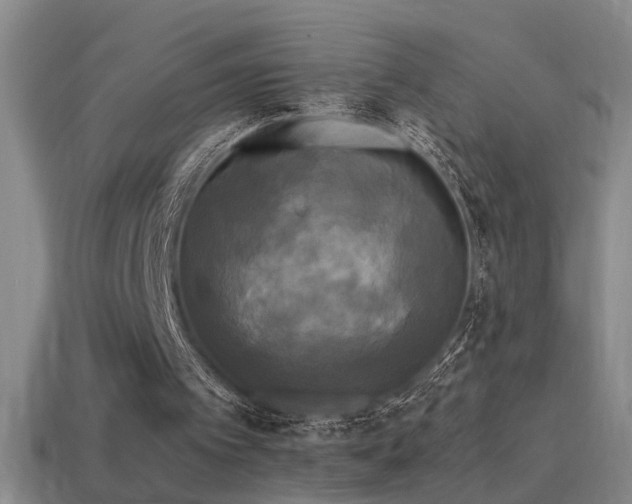 X0000114390097200910161302