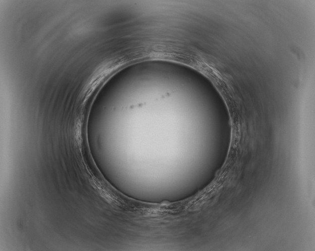 X0000114390098200910161302