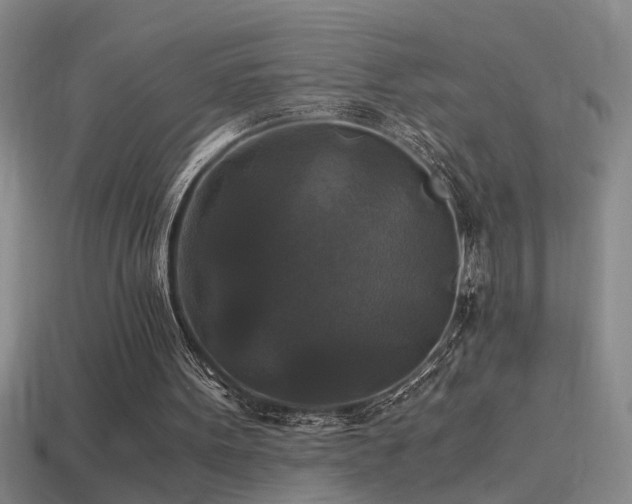 X0000114390099200910161302