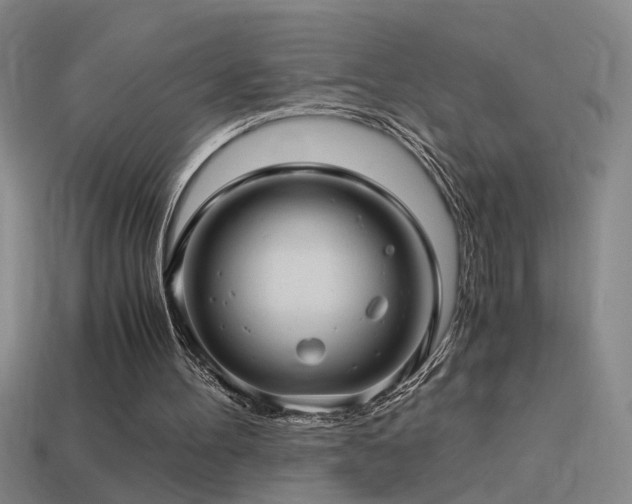 X0000114390100200910161302