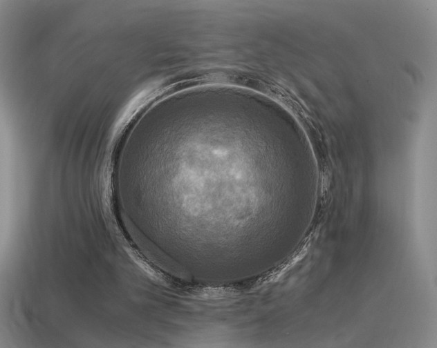 X0000114390101200910161302