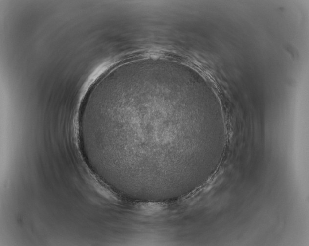 X0000114390102200910161302