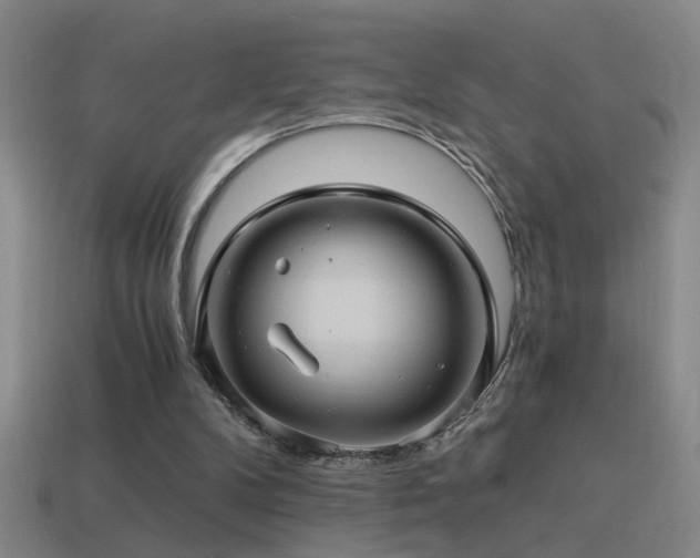 X0000114390104200910161302