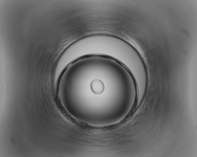 X0000114390105200910161302