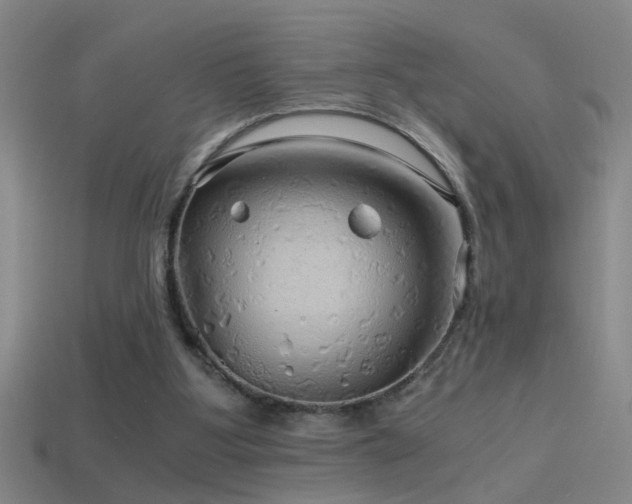 X0000114390107200910161302