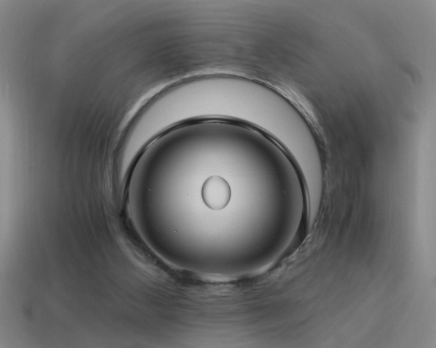 X0000114390108200910161302