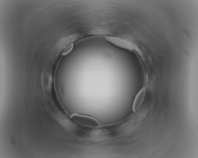 X0000114390109200910161302