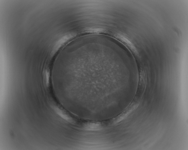 X0000114390110200910161302
