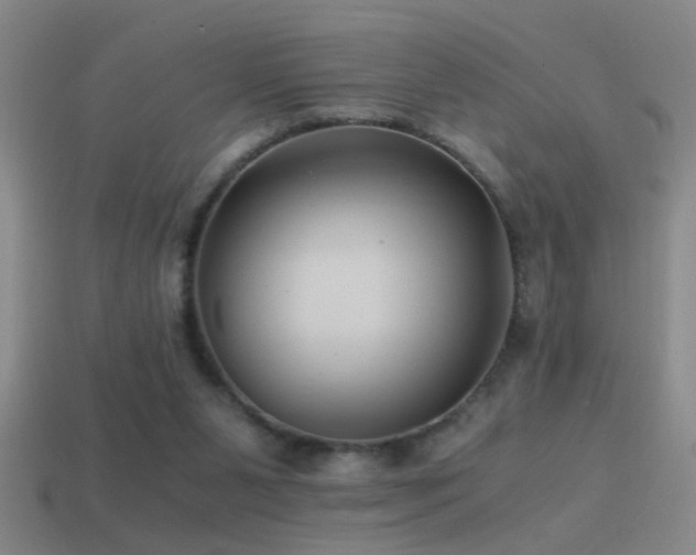 X0000114390111200910161302