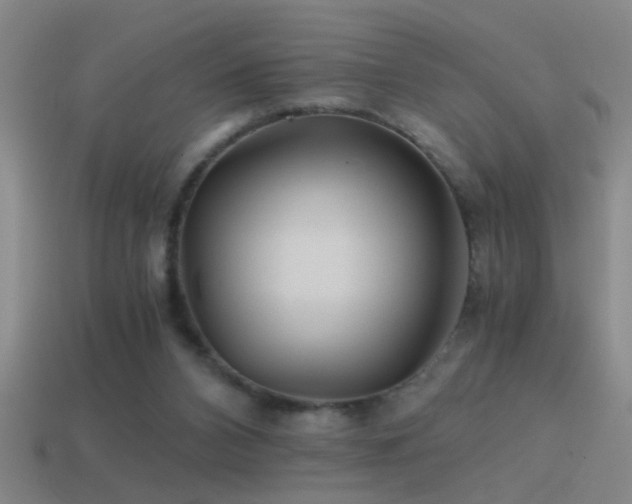 X0000114390112200910161302