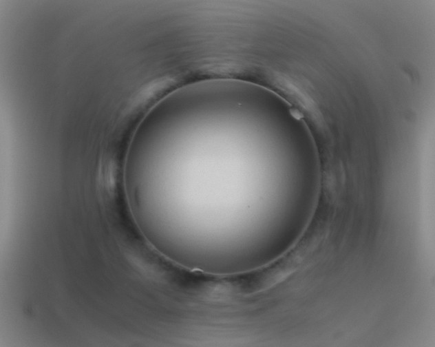 X0000114390115200910161302