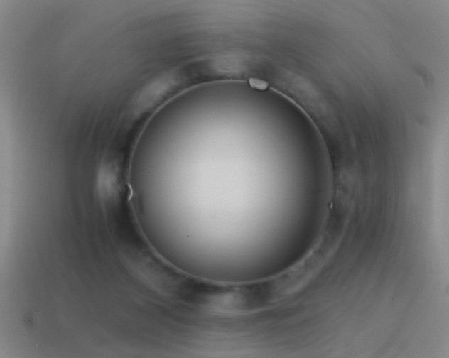 X0000114390116200910161302