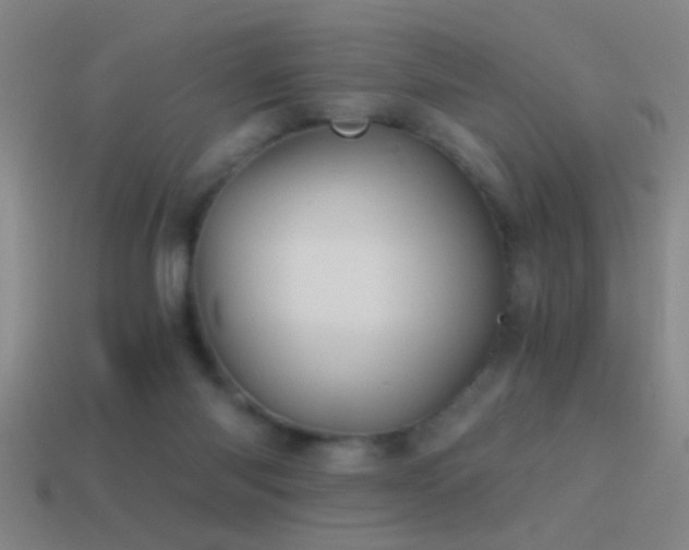 X0000114390118200910161302