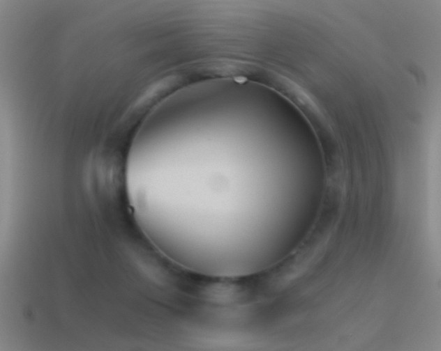 X0000114390119200910161302