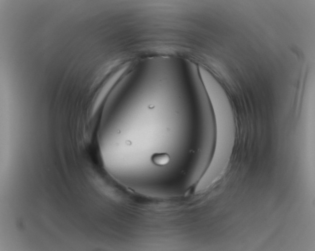 X0000114390120200910161302