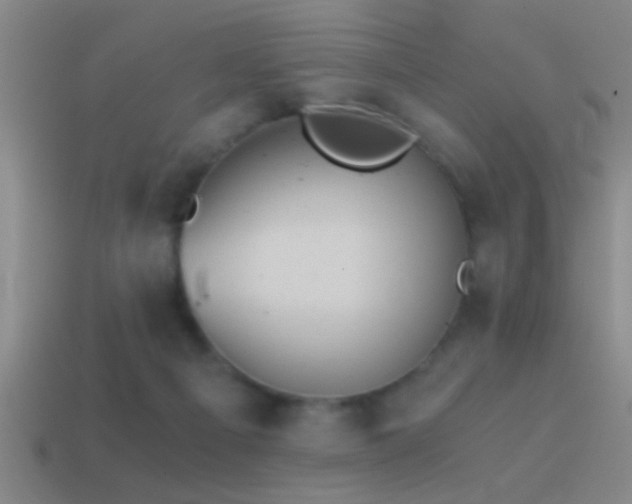 X0000114390121200910161302