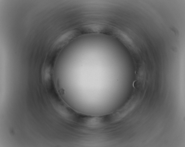 X0000114390122200910161302