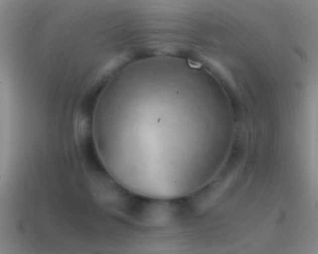 X0000114390123200910161302