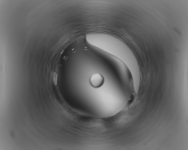X0000114390124200910161302