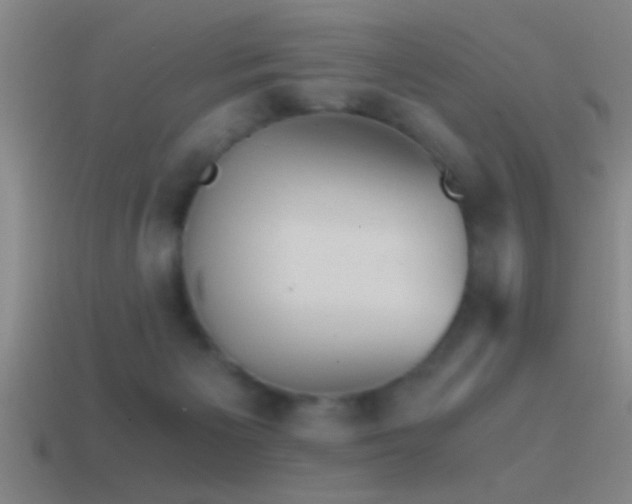X0000114390125200910161302