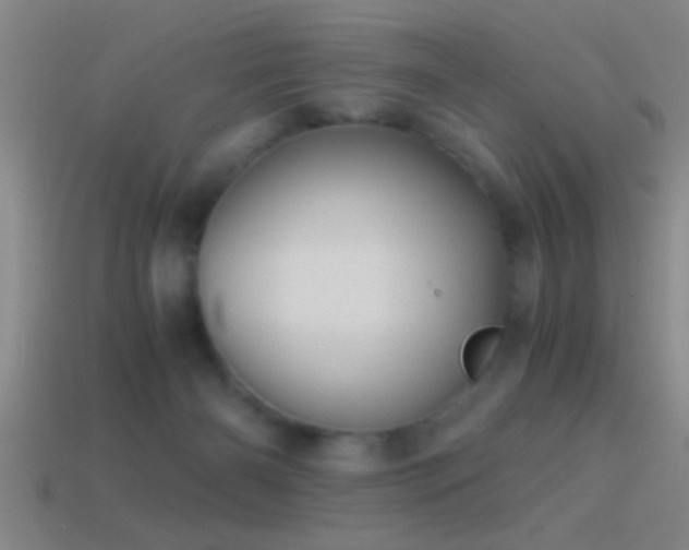 X0000114390126200910161302