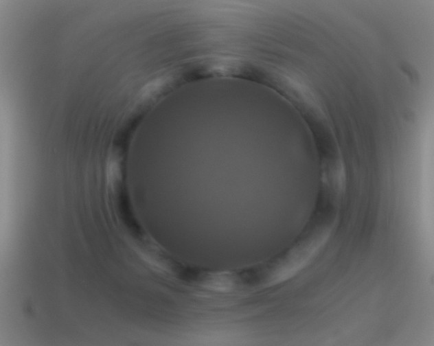X0000114390127200910161302