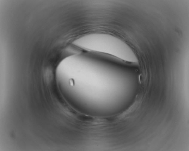 X0000114390128200910161302