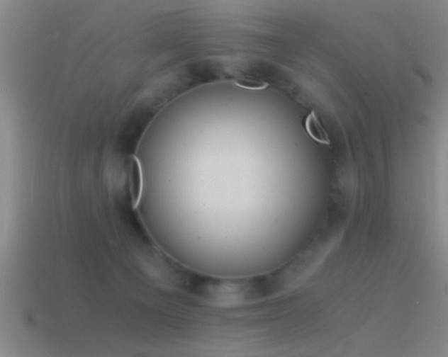 X0000114390129200910161302
