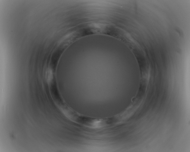 X0000114390130200910161302