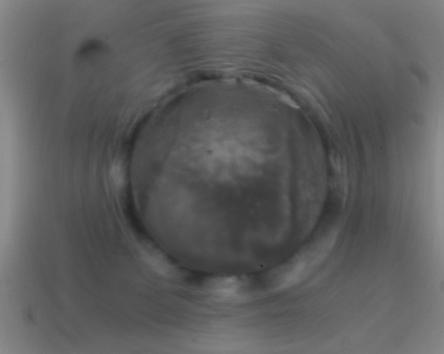 X0000114390131200910161302